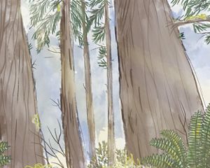 Illustration of trees in a forest.