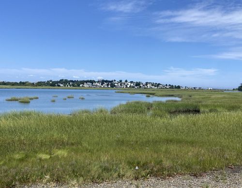 The marsh grasses and blue waters of Belle Isle Marsh, with homes on a hill in Revere in the distance on the other side of the marsh on a sunny day.
