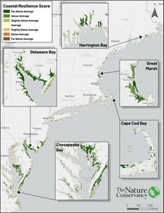 A map of Delaware showing areas of coastal resilience in green.