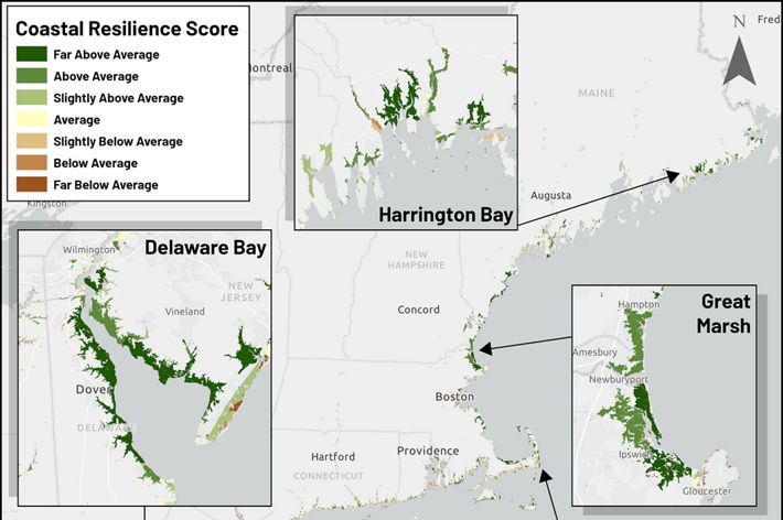 A map of Delaware showing areas of coastal resilience in green.