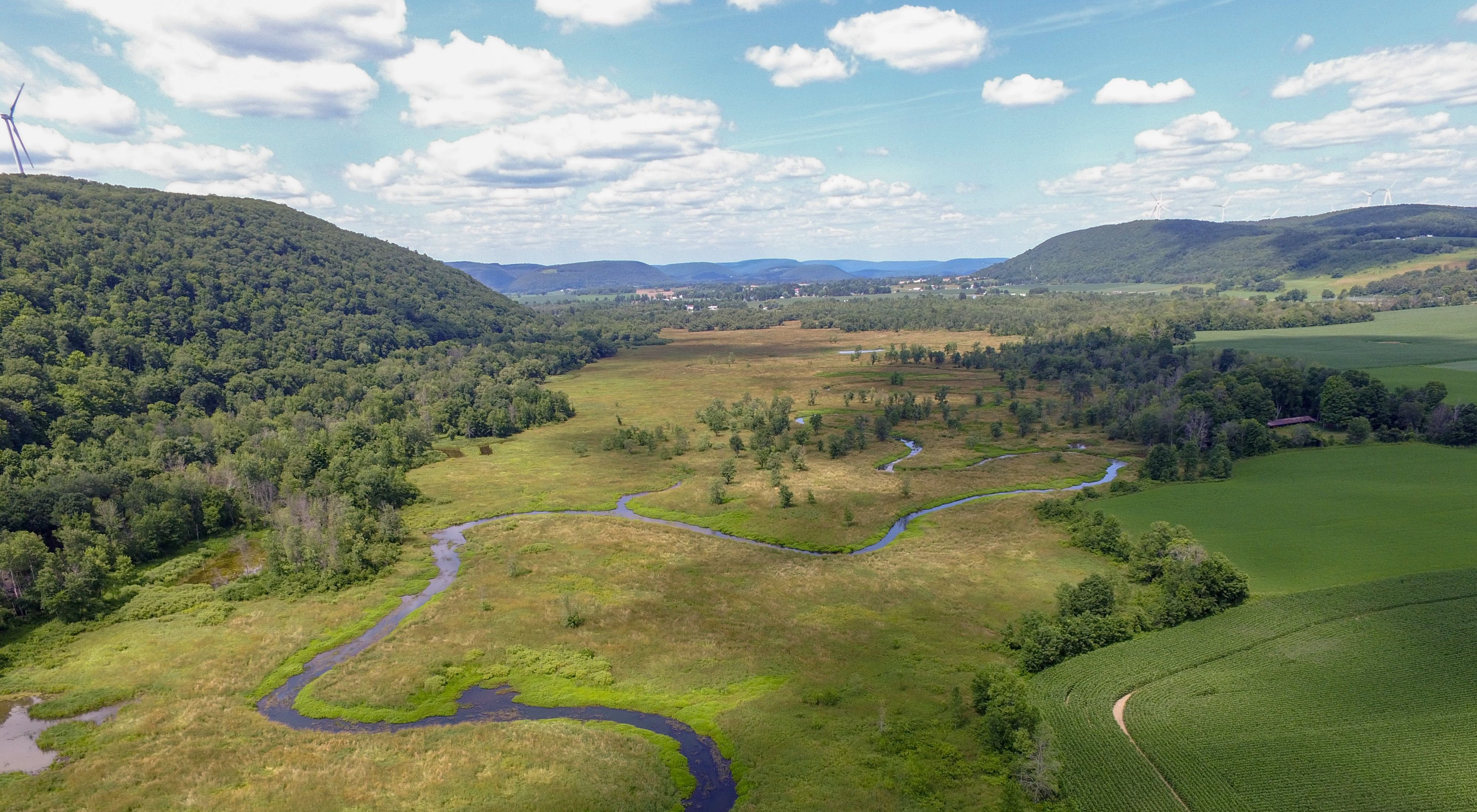 Aerial view of the Cohocton River winding through a green wetland with a blue sky and clouds in background.