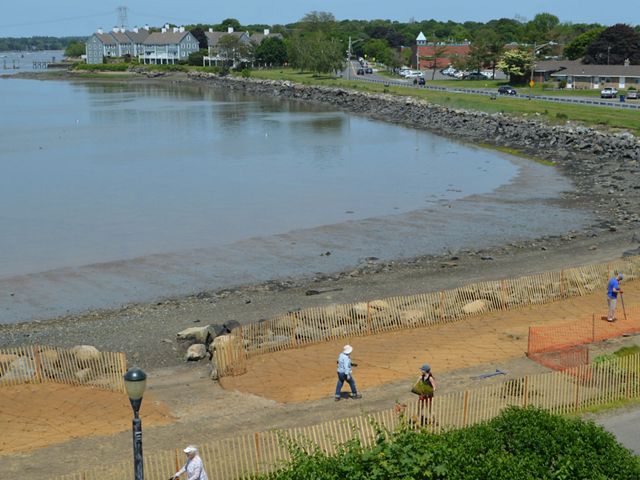 A curved shoreline viewed from above at a distance, with rocks, an area planted with new marsh grass , and a walking path.