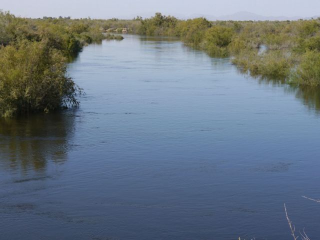 A Colorado River channel that was dry a week before is now filled with flowing water after the pulse flow release of water from the Morelos Dam in 2014.