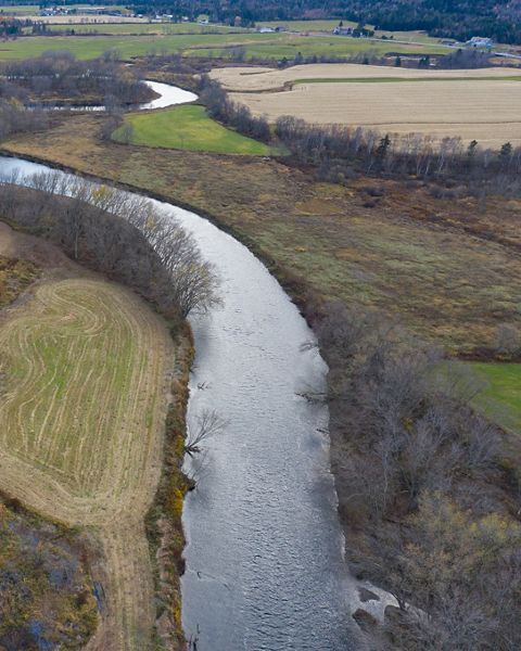 A river winds through farmland. A road parallels it to the left.