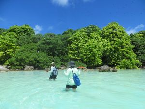 Conservation Science Volunteers navigating to their field site at Palmyra Atoll.