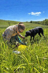 A women is taking notes out in the field and a black dog in next to her.