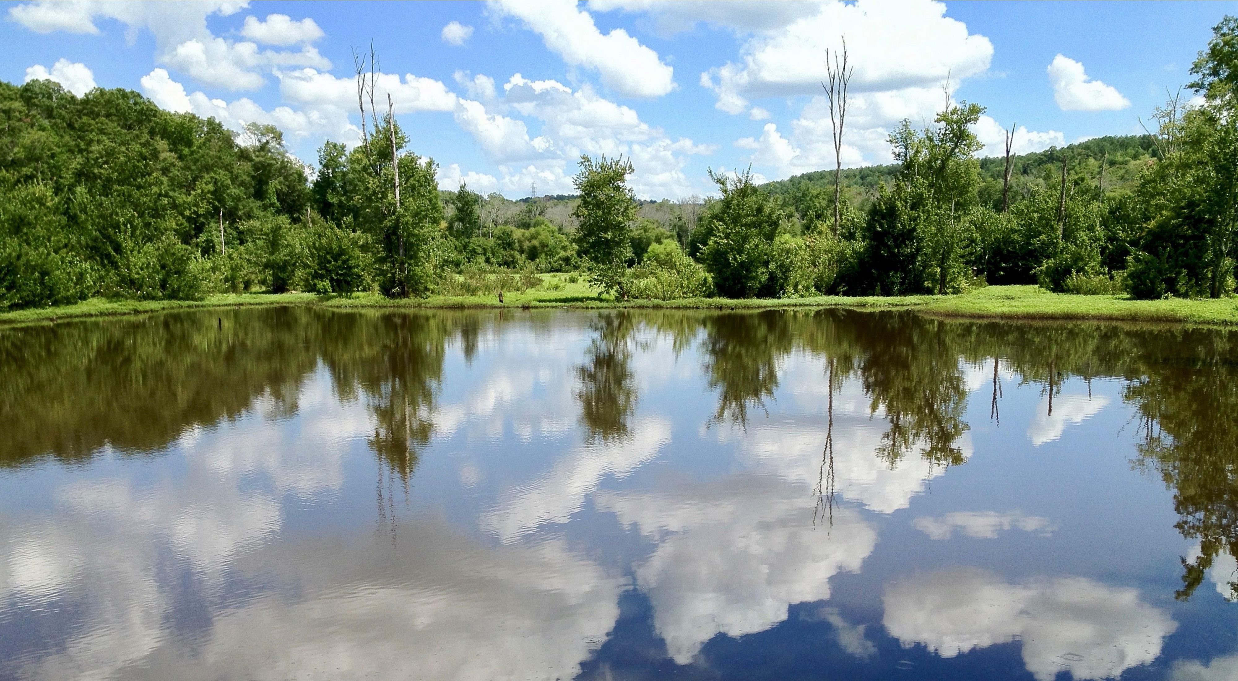 Trees along the shore of a lake and blue sky reflected in the flat water surface.