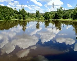 A view of Constitution Lake and its surrounding forest. Constitution Lake Park is in the South River watershed.