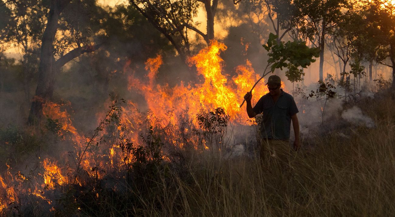 A person holding a stick stands in front of a burning forest.