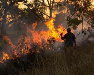 A person holding a stick stands in front of a burning forest.