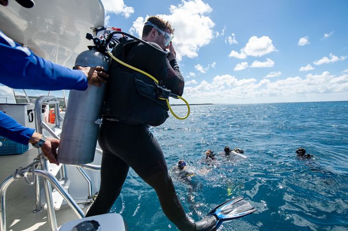 Divers step off the boat into the water.