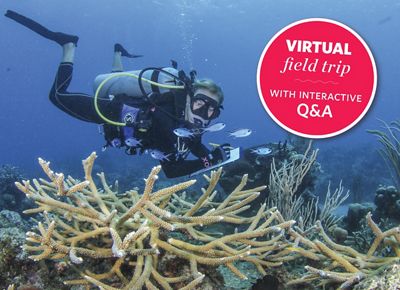 Diver swims over coral and takes notes on clipboard.