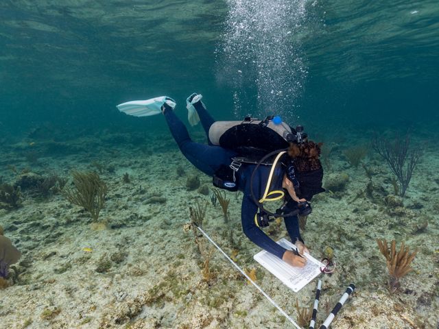 a woman scuba diving and taking notes underwater