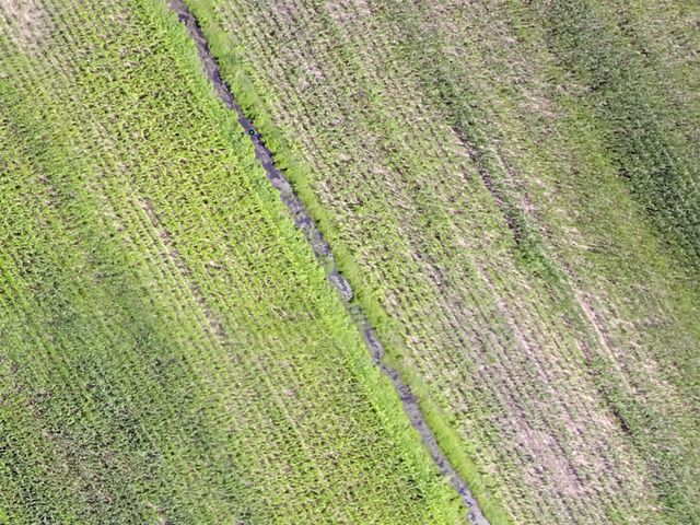 Corn fields shot by a drone with a multispectral camera.