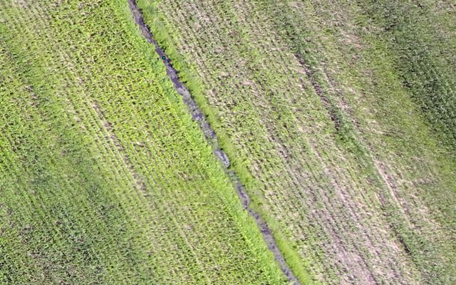 Corn fields shot by a drone with a multispectral camera.