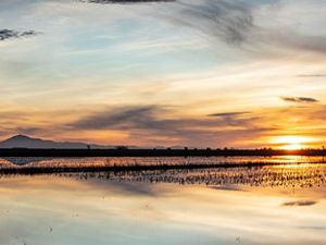 The sun sets behind a farm field that's been left flooded as a stopover place for migratory birds.
