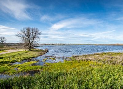 A dirt path and wood walkway traverse through river grasses and alongside water at the Cosumnes River Preserve.