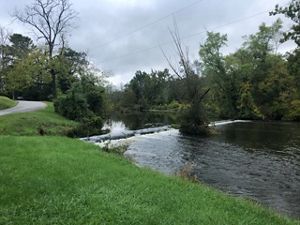 A dam with water flowing and green grassy shore.