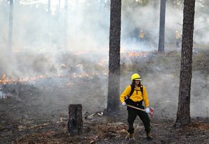 Courtney Gullo is an alumna of the GulfCorps program.