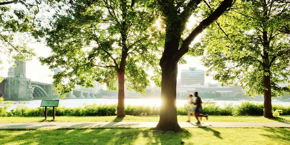 people running through a city park.