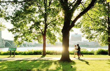 Runners on a trail through trees