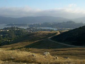 A narrow dirt path winds past grassy hills toward a town and a large body of water.