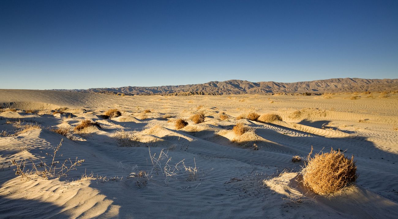 A shadow falling over an open desert.