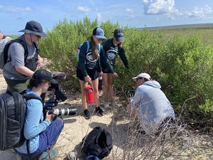A group of people gather around a sandy area where eggs have been laid.