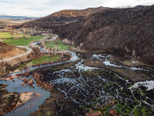 A hillside covered in burned trees and denuded soil, with interweaving streams in a valley below.