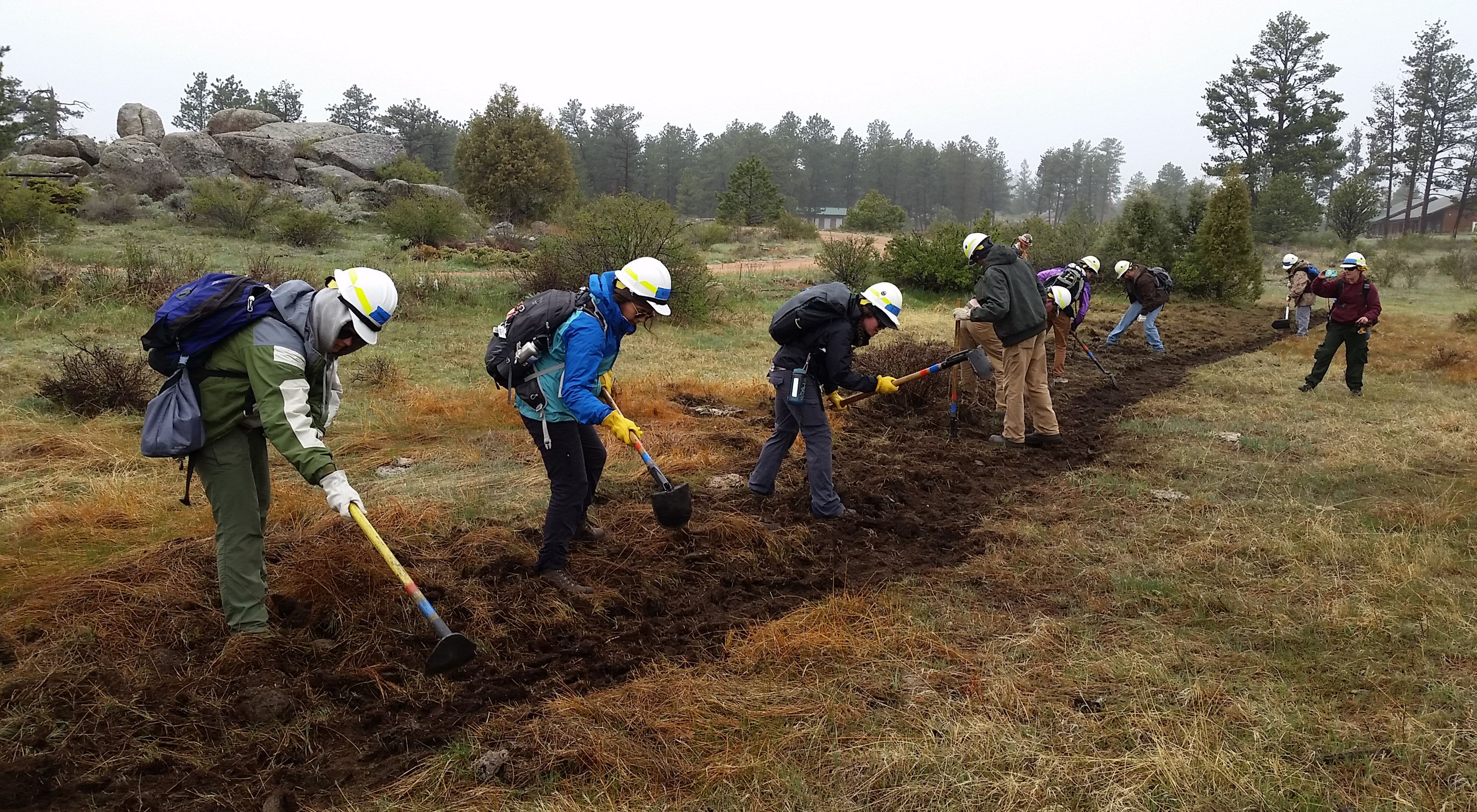 Colorado staff are working to build a qualified volunteer staff who can assist the TNC in forest restoration and fire projects.