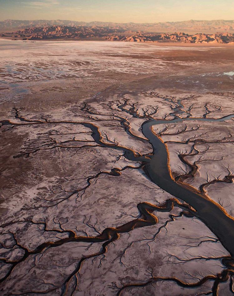 big gun center pivot irrigation in colorado cornfield
