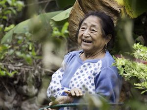A person smiles among the trees and plants in the Maya Forest in Mexico.