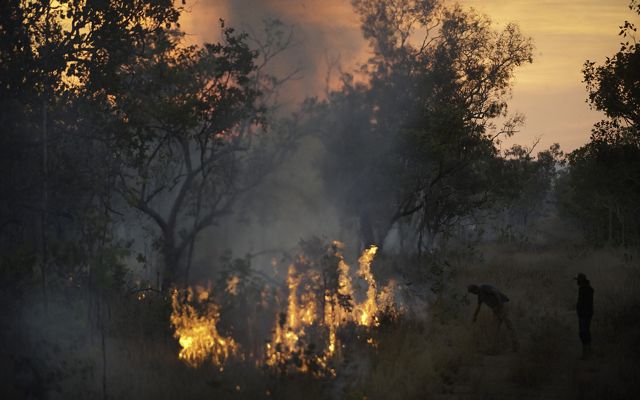 Two people stand next to a small controlled burn in a forest.