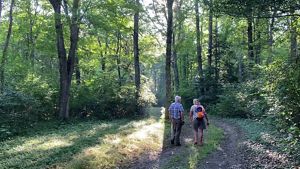 A man and a woman walk beside each other through open woods in summer, bathed in early morning light. 