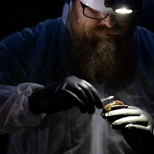 Cory Holliday studies a bat that he holds in his hand.