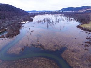 Flooded Cohocton River.
