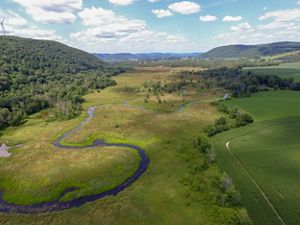 Grasslands surrounding Cohocton River.