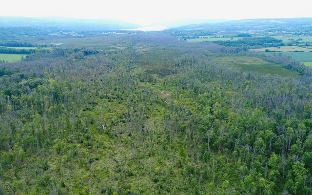 Aerial view of Honeoye Lake.