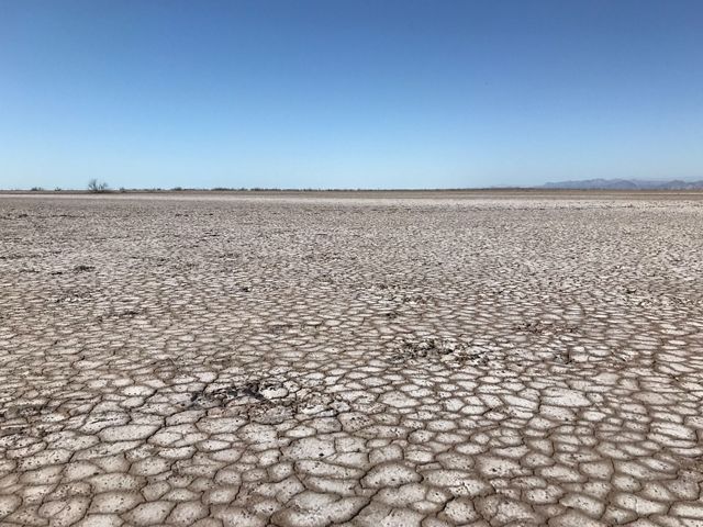 Much of the landscape near Las Arenitas is desperately dry.