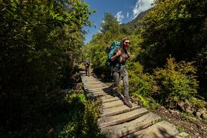 Two hikers walk along a boardwalk in a forest.