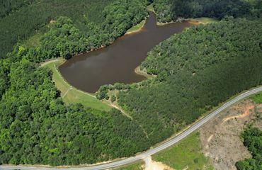 Arial view of a forested green area with a lake and a road running alongside the forest.