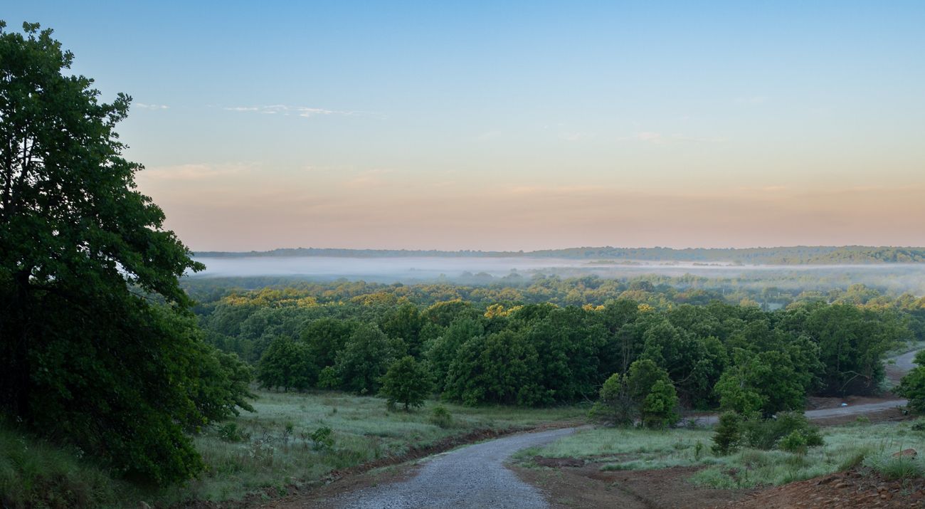 Fog rolls over dense, green forest.