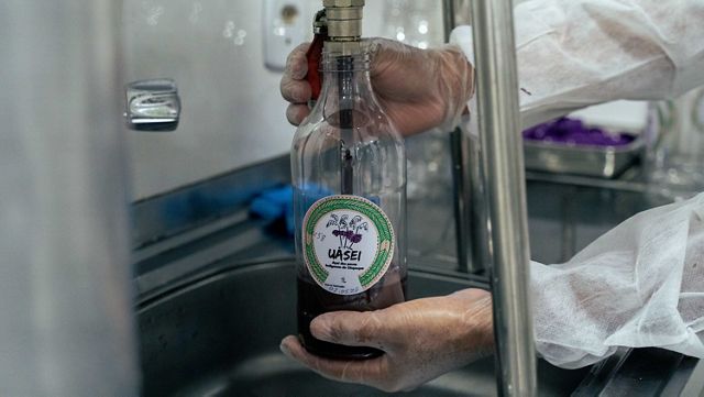 Bottling a fruit juice.