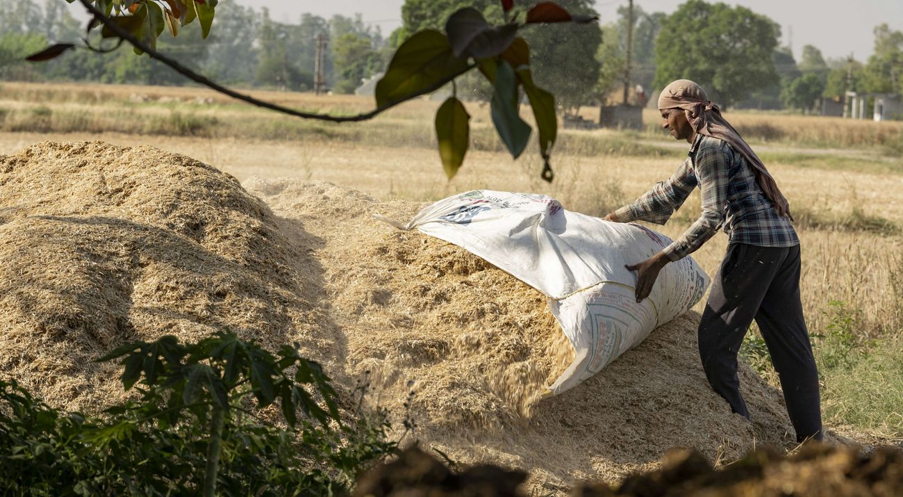 A farmer collects crop residue in a giant bag and adds it to a large pile of crop residue.