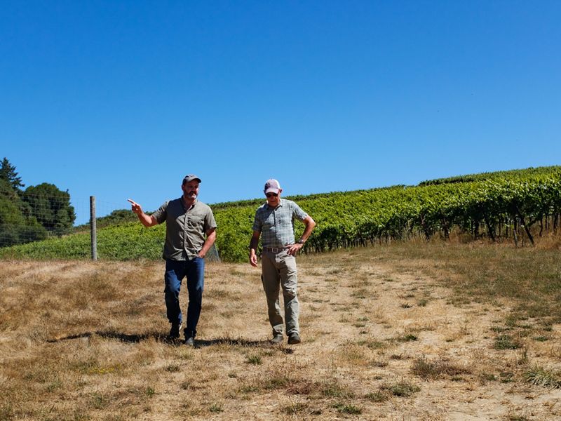 Two men walk together with rows of grape vines growing behind them.