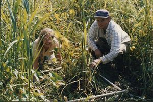 Two people crouch in a lush, green field with tall grass and plants. They appear to be examining something in the plants. One is wearing a cap and a checkered shirt. The surroundings are bright and filled with foliage.