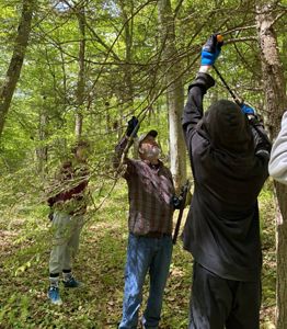 A group of individuals are engaged in trail maintenance in a wooded area. They are using tools to clear and arrange rocks. The forest is lush and green, suggesting a natural setting.