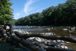 A river flows over rocks and through a forest.