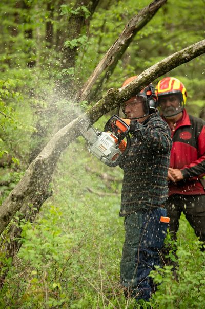 A person is using a chainsaw to cut a thick branch in a forest. Another person stands nearby, observing. Both individuals are wearing helmets and protective gear amidst lush greenery.