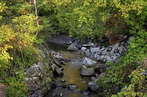 A photo of the confluence of Cold Brook and the North Branch of the Boquet River